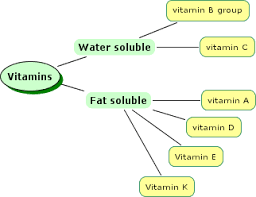 water soluble vitamins