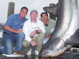shark fishing pictures