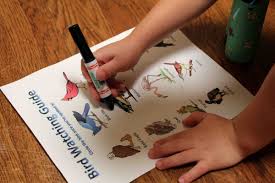 Bird Watching guide