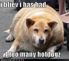 funny pics of fat people