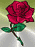 http://t0.gstatic.com/images?q=tbn:JCTYJCyZneJMeM:http://www.cksu.com/vb/images_avatars/avatar20913_3.gif