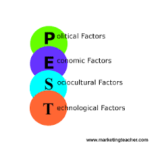 pest analysis example