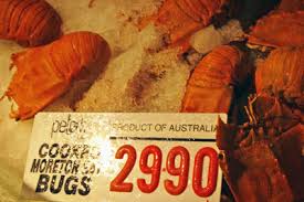 morton bay bugs