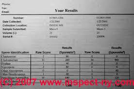 lab report example