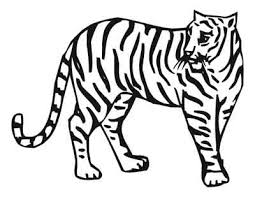 coloring books animals