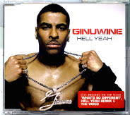 Ginuwine - Hell Yeah (Remix)
