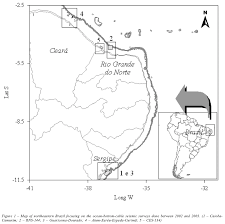 seismic surveys