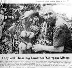 earth mortgage