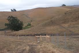 homes for rent in winters california