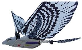 radio controlled bird