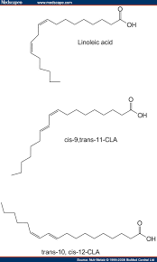 Conjugated Linoleic Acid