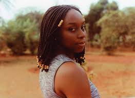 chimamanda adichie