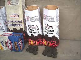 charcoal briquet