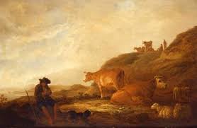 cuyp