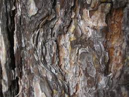 texture in art