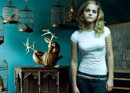 harry potter and hermione
