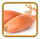 shallot seed
