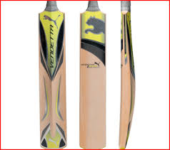 puma cricket bat