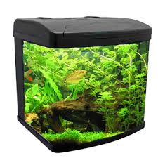 aquariums cube