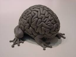 brain sculpture