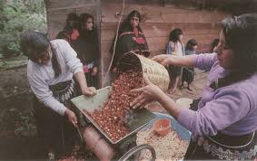 fair trade africa