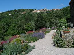 mediterranean garden designs
