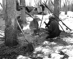 indian trapper