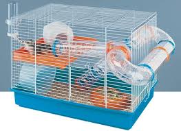 cage rongeur