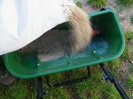 seed spreaders