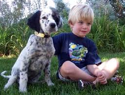 unique dogs