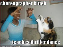 dance cat