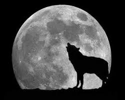 Ulver - The Madrigal Of The Night: Eight Hymnes To The Wolf In Man