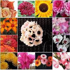 wedding flower names