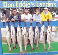 croakers