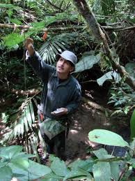 ecuador amazon