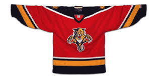 florida panther jersey