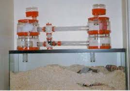gerbil cages