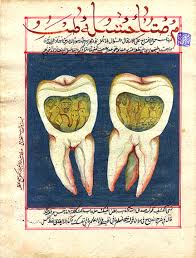 dental book
