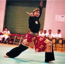 Pencak Silat