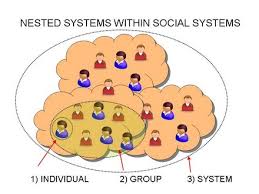 social systems