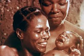 alex haley roots