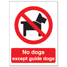 no dogs except guide dogs
