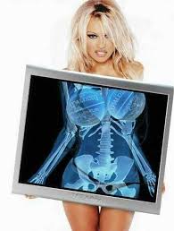 Looks Inside Pam Anderson