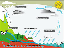 le cycle de leau