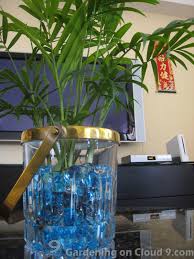 crystal soil for plants
