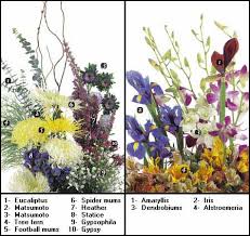 flower guide