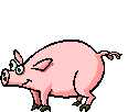 émoticone cochon