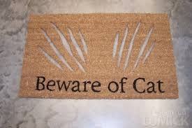 cat door mat