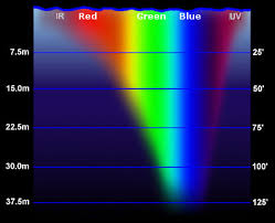 light absorption