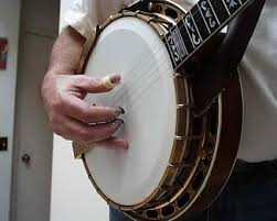 banjo fingerpicks